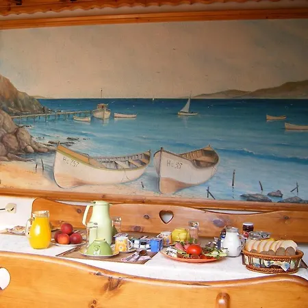 Dari Guest за гости дари 3*